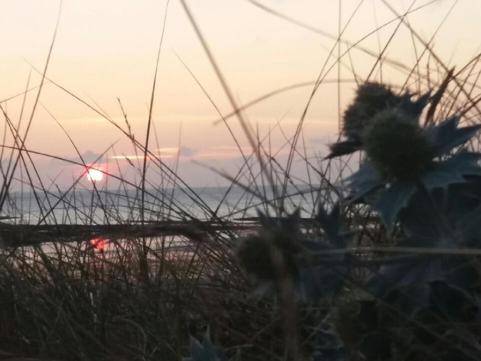Cote Terre 艾河畔圣日耳曼 外观 照片